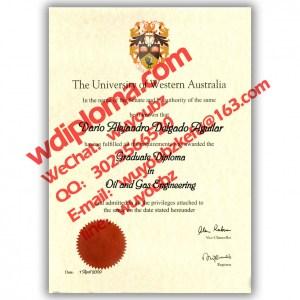 the university of western australia diploma